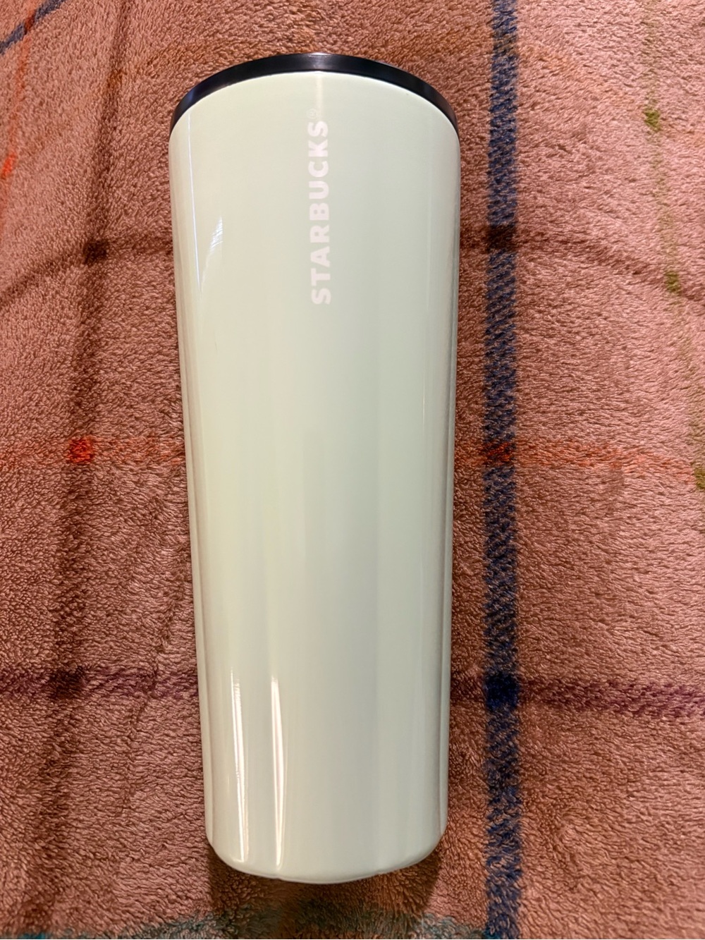 STARBUCKS 2022 PUFFY VALENTINES MINT GREEN STAINLESS STEEL COLD CUP TUMBLER 24OZ